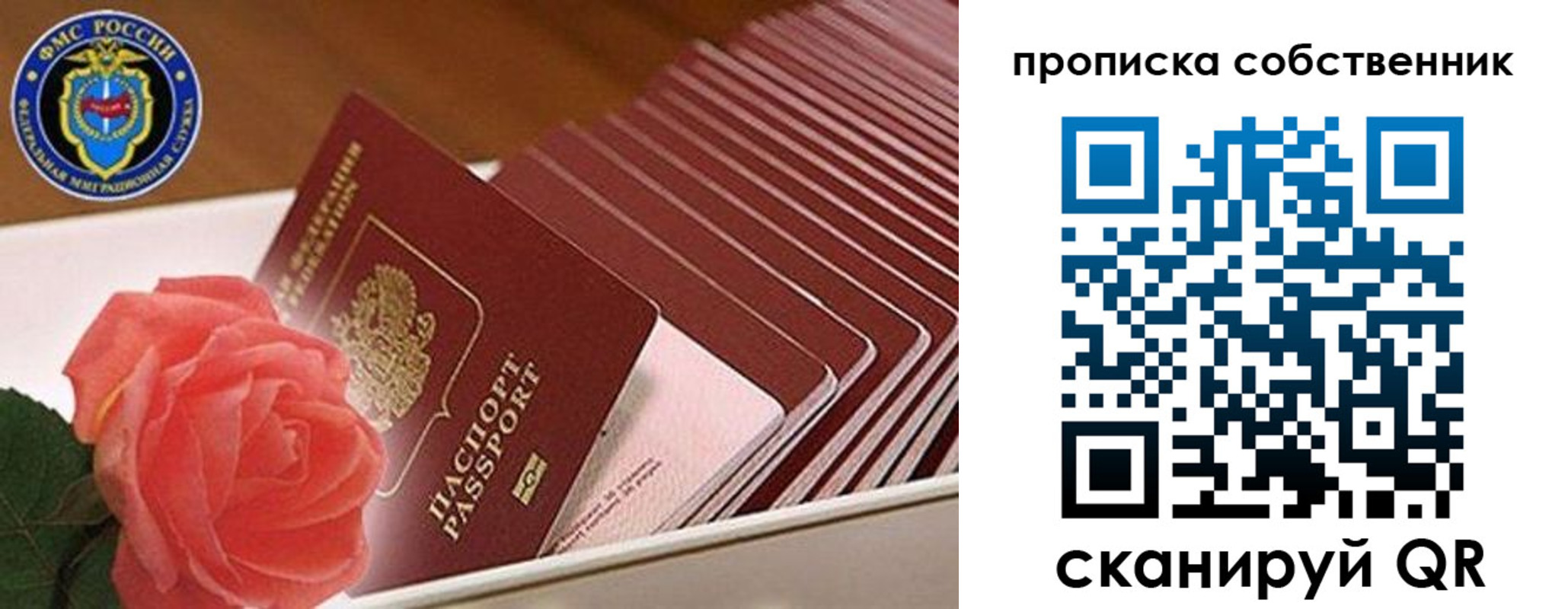 прописка поиск в Иваново